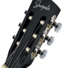 Sharpnote-Gitarre-Modell-P1